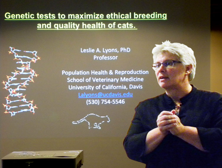 Professor Leslie Lyons speaking at the WCC 2013 Seminar