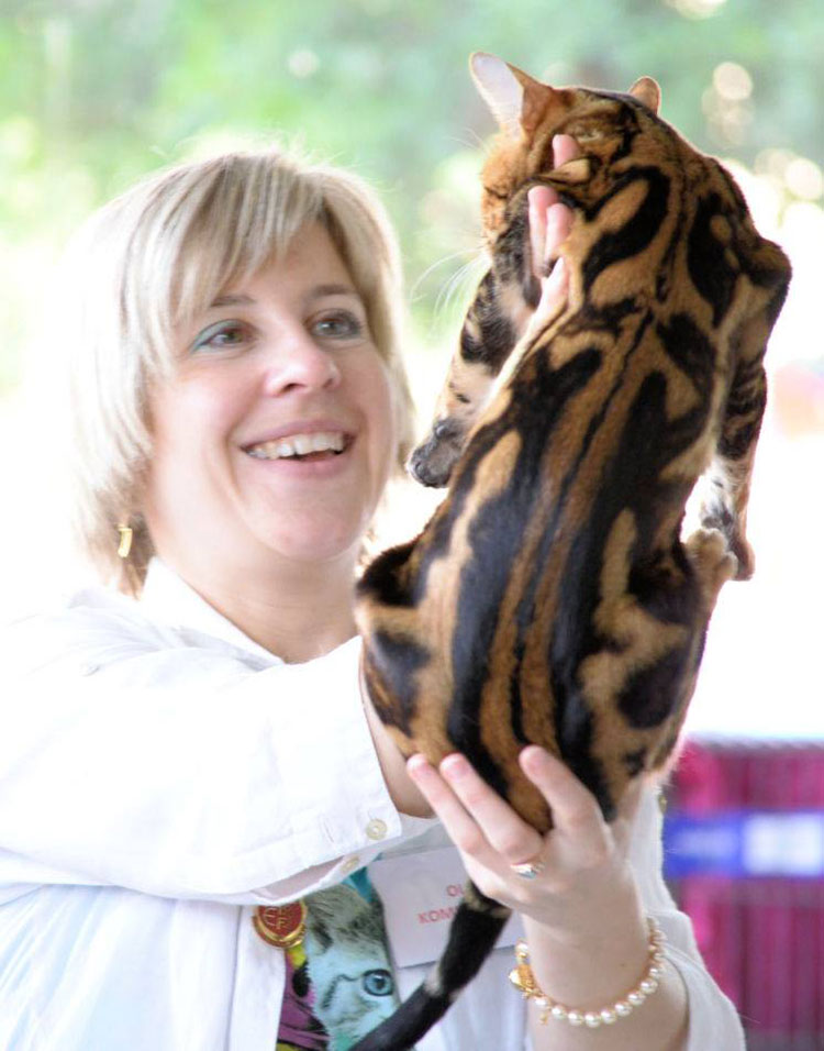Estonian FIFe judge Olga Komissarova was delighted with her Australian Bengal experience is perfectly captured in this wonderful photo by Rita Brusche.