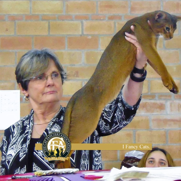 Pam Delabar